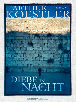 cover image of Diebe in der Nacht